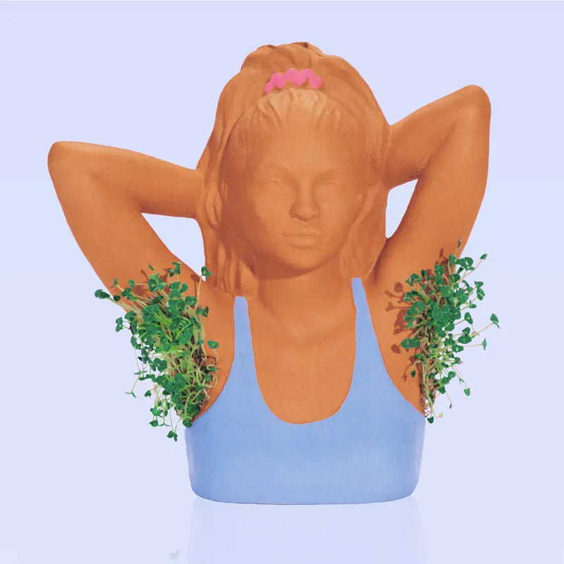 Chia Pet